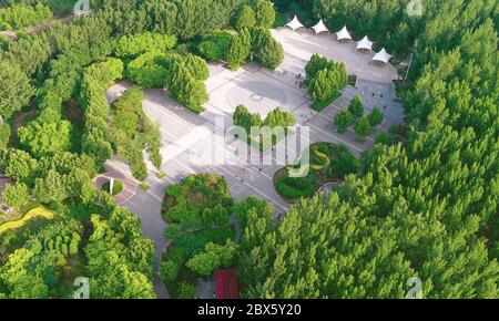 Wen'an. 5 Giugno 2020. Foto aerea del 5 giugno 2020 mostra una vista di un parco forestale nella contea di Wen'an, provincia di Hebei, nella Cina settentrionale. Integrando la costruzione urbana con la rimboschimento, Wen'an ha fatto sforzi per raggiungere l'armonia tra l'uomo e la natura negli ultimi anni. Attualmente la contea vanta un tasso di copertura forestale del 33% e un tasso di area verde urbana del 36.48%. Credit: Yuyu/Xinhua/Alamy Live News Foto Stock