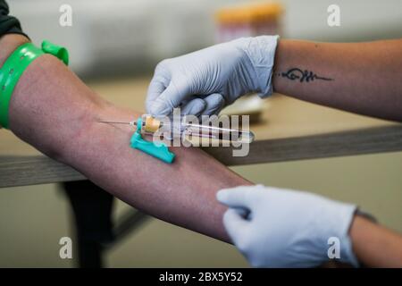 Un paramedico (a destra) preleva un campione di sangue da un operaio di ambulanza, durante un programma di test anticorpale del coronavirus presso l'Hollymore Ambulance Hub del West Midlands Ambulance Service di Birmingham. Foto Stock