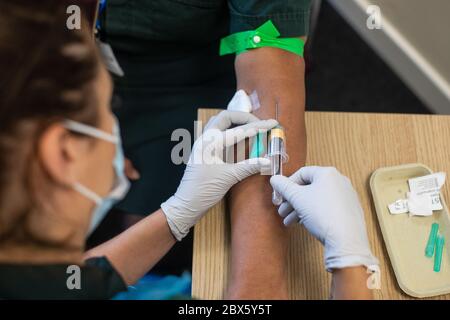Un paramedico (a sinistra) preleva un campione di sangue da un medico, durante un programma di test anticorpale del coronavirus presso l'Hollymore Ambulance Hub del West Midlands Ambulance Service di Birmingham. Foto Stock