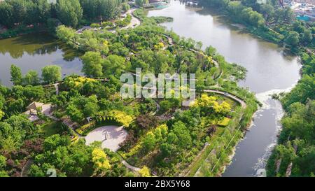 Wen'an. 5 Giugno 2020. La foto aerea del 5 giugno 2020 mostra una vista di un parco acquatico nella contea di Wen'an, nella provincia di Hebei, nella Cina settentrionale. Attualmente la contea vanta un tasso di copertura forestale del 33% e un tasso di area verde urbana del 36.48%. Credit: Yuyu/Xinhua/Alamy Live News Foto Stock