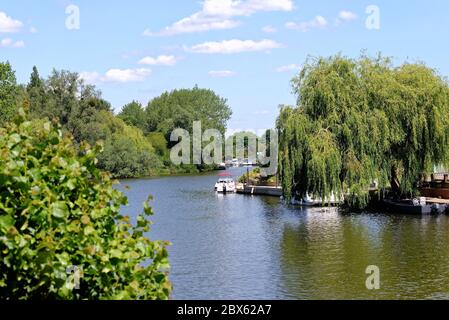 Il Tamigi a Old Windsor con esclusive case lungo il fiume in una giornata estiva soleggiata, Berkshire Inghilterra UK Foto Stock