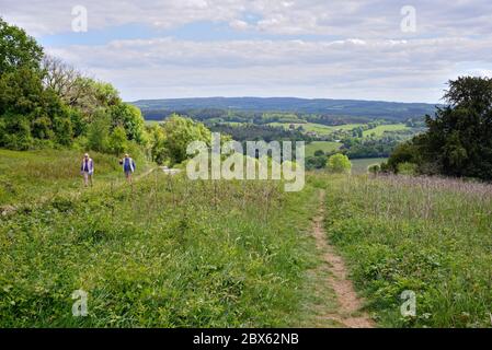 La vista da Newlands Corner nelle Surrey Hills guardando verso North Downs in lontananza, vicino Guildford Inghilterra UK Foto Stock