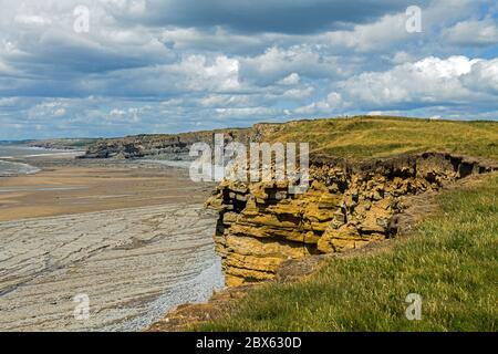 La Glamorgan Heritage Coast lungo parte del Galles del Sud, tra Nash Point e la spiaggia di Monknash. Fotografato in estate all'inizio di giugno mostrando le scogliere Foto Stock