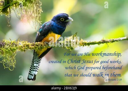 Versi biblici ispiratori, incoraggianti e edificanti stampati su una bella fotografia di uccelli. Foto Stock