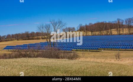 fattoria solare che raccoglie l'energia del sole per l'elettricità Foto Stock