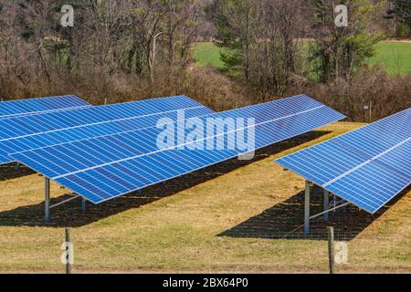 fattoria solare che raccoglie l'energia del sole per l'elettricità Foto Stock