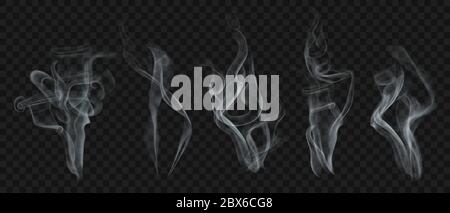 Set di fumo trasparente realistico o vapore in bianco e grigio, per l'uso su sfondo scuro. Trasparenza solo in formato vettoriale Illustrazione Vettoriale