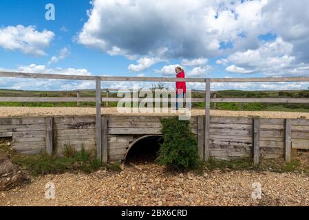 Ashley Walk, Godshill, Fordingbridge, Hampshire, Regno Unito, Giugno 2020. Donna che cammina attraverso un ponte su un letto di fiume secco nella New Forest dopo la primavera più soleggiata mai registrata. Foto Stock