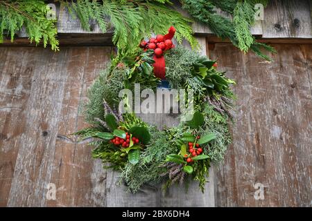 Corona di abete rosso e agrifoglio di Christmas su fondo di legno Foto Stock