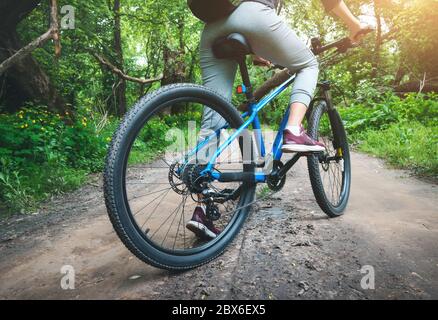 Donna che cavalcano una bicicletta blu nella foresta in estate al tramonto Foto Stock
