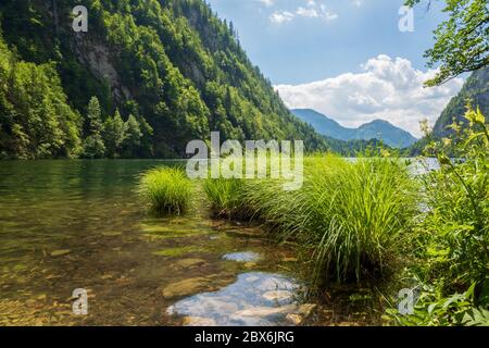 Vista panoramica del leggendario lago Toplitz, della regione di Ausseer Land, della Stiria, dell'Austria Foto Stock