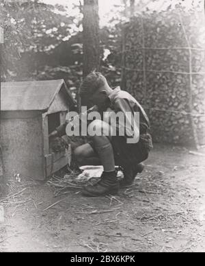 HJ campo estivo Heinrich Hoffmann Fotografie 1933 fotografo ufficiale di Adolf Hitler, e un politico e editore nazista, che era un membro del circolo intimo di Hitler. Foto Stock