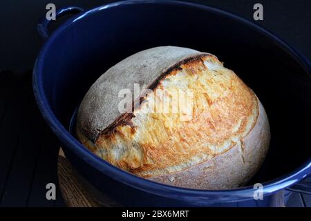 Pane di pasta acida in padella blu su fondo nero. Fotografia fatta in casa di pane alimentare. Illustrazione di alta qualità Foto Stock