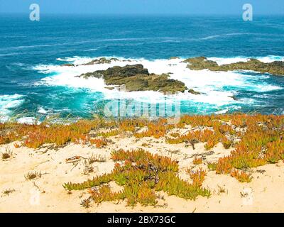 Dune e vegetazione da spiaggia, scogliera rocciosa e acque blu dell'Oceano Atlantico con surf a Sines, Portogallo. Foto Stock
