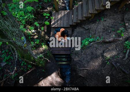 Una giovane donna cammina lungo sentieri in legno in una riserva idrologica. Vista dal punto superiore. Camminare da soli nella foresta. Foto Stock