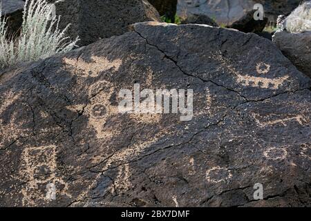 NM00540..NEW MEXICO - Petroglifi pettinato su un masso basaltico dai Puebloans ancestrali trovati al Piedras Marcadas Canyon nel Petroglyph Natl Monument Foto Stock