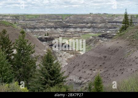 Horseshoe Canyon, Alberta, Canada. Persone che camminano un sentiero nelle Badlands a ovest di Drumheller. Foto Stock