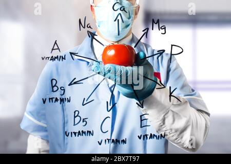 Foto di un assistente di laboratorio che tiene un pomodoro vegetale in un completo corpo e guanti di gomma con diagramma di vitamina e minerale disegnati su vetro. Foto Stock