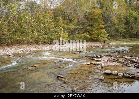 Otter Creek all'inizio dell'autunno Foto Stock