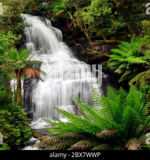 Cascata nella lussureggiante foresta pluviale di ferny. File XXXL. Cascate Triplet, Otway Ranges, Victoria, Australia. Foto Stock