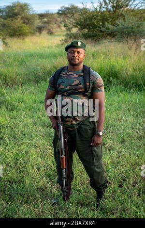 Il ranger del parco nel Parco Nazionale di Serengeti si erge a guardia contro bracconieri e animali durante l'evento safari in Tanzania Foto Stock