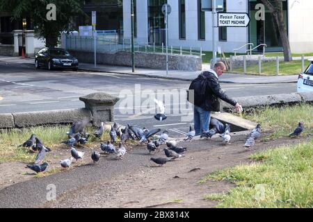 Dublino. 6 Giugno 2020. Un uomo nutre un gruppo di piccioni in una strada durante la Giornata mondiale dell'ambiente a Dublino, Irlanda, il 5 giugno 2020. Credit: Xinhua/Alamy Live News Foto Stock
