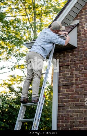 Uomo caucasico pulizia / riparazione grondaie a casa / a casa in Kentucky Foto Stock