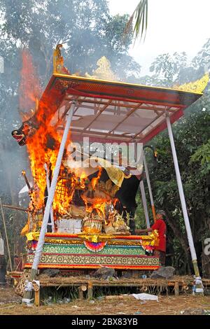 Cerimonia di premiazione indù. La torre di toro in fiamme. Questa è la cremazione di Ni Ronji, moglie dell'artista Antonio Blanco che è morto nel 2010. Ubud, Bali Foto Stock