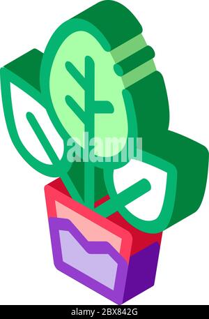 Pianta in rappresentazione vettoriale dell'icona isometrica del Pot Illustrazione Vettoriale