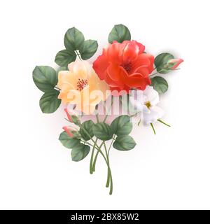 Mazzo di rose Illustrazione Vettoriale