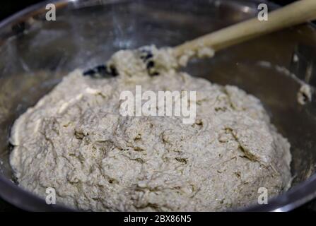 Agugliare segale e pasta di grano dopo aver mescolato l'antipasto, la farina e l'acqua per l'impasto per il pane rustico artigianale di pasta di grano integrale, serie fotografica Foto Stock