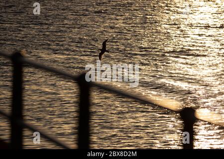 Weymouth, Regno Unito. 6 Giugno 2020. L'alba della mattina presto sulla baia di Weymouth. Foto Stock