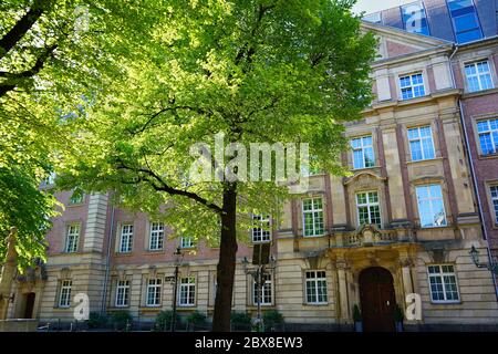 Tipico retrstrada romantica nella città vecchia di Düsseldorf con antico edificio in pietra di mattoni e l'albero vecchio di fronte. Foto Stock