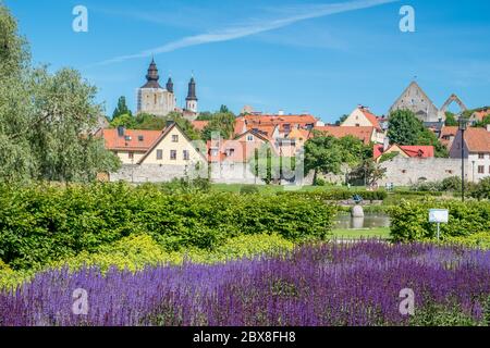 Persone non identificabili godono del famoso parco Almedalen nel Visby medievale sull'isola svedese del Mar Baltico Gotland. Foto Stock