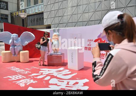 Pechino, Cina. 6 Giugno 2020. Un visitatore posa per le foto durante un'attività a Pechino, capitale della Cina, 6 giugno 2020. La stagione dei consumi di Pechino è stata aperta sabato. Credit: Peng Ziyang/Xinhua/Alamy Live News Foto Stock