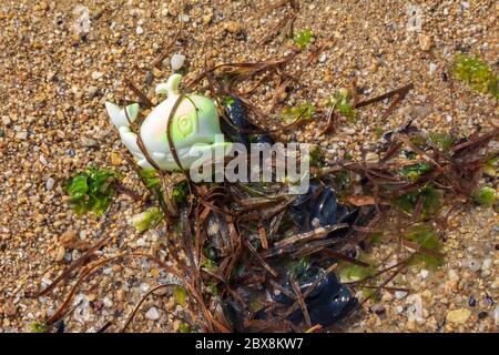 Pesce di plastica sulla sabbia di spiaggia, inquinamento marino 2 Foto Stock