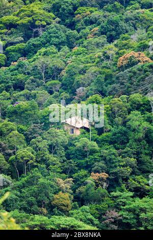 Una capanna solitaria nella foresta pluviale incontaminata Foto Stock