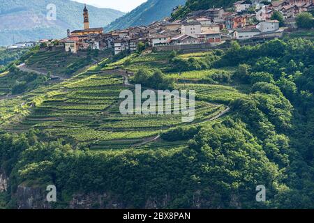 Piccolo villaggio di Faver, famosa per la produzione di vino. Alpi italiane, Valle di Cembra, Provincia di Trento, Trentino Alto Adige, Italia, Europa Foto Stock