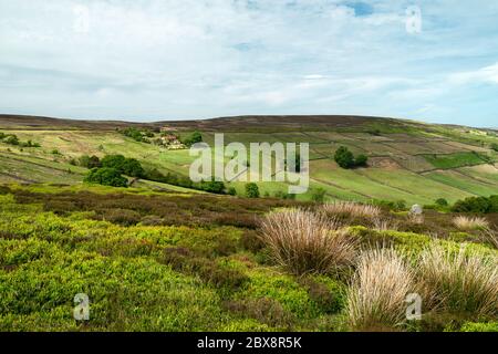 North York Moors con prominenti erpazioni, alberi, campi, erica e erbe sotto il cielo blu e nuvoloso in primavera a Glaisdale, Yorkshire, Regno Unito. Foto Stock