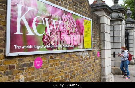 Londra, Regno Unito. 6 giugno 2020 i Giardini Botanici reali, Kew, aprono le sue porte al pubblico per la prima volta da quando è stato chiuso. L'ingresso è limitato agli slot temporali solo per i membri e il personale NHS. Sono esauriti questo fine settimana. Andrew Fosker / Alamy Live News Foto Stock