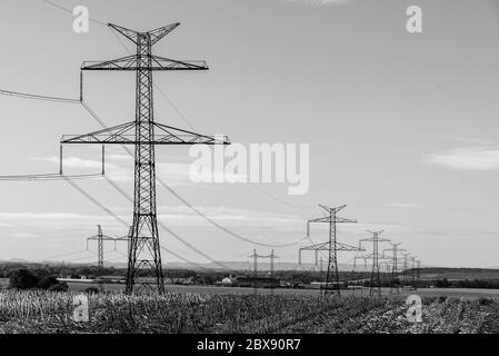 Linea di torri di trasmissione, o tralicci di elettricità, nel paesaggio rurale. Immagine in bianco e nero. Foto Stock