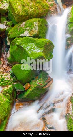 Cascata d'acqua di piccolo torrente tra pietre mussose. Esposizione lunga Foto Stock
