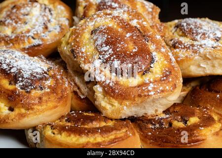 Polpettine con formaggio di cottage e uvetta accatastati su un piatto. Polpettine cosparse di zucchero in polvere Foto Stock