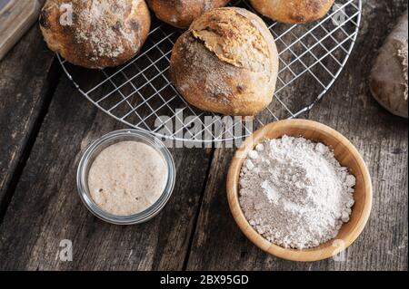 Vista dall'alto del lievito di partenza di pasta acida in un vaso accanto a un grappolo di bretelle biologiche appena sfornate e a una tazza di farina integrale. Foto Stock