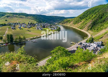 Blick von der Burg Metternich auf Beilstein, Ellenz-Poltersdorf und die Mosel , Rheinland-Pfalz, Deutschland | Vista dal Castello di Metternich a Beilste Foto Stock