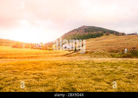 Prati intorno al monte Bukovec sopra il villaggio di Jizerka in autunno, Repubblica Ceca. Foto Stock