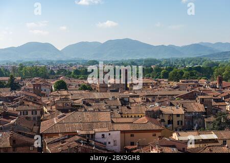 Vista aerea del centro storico di Lucca dalla Torre Guinigi. Toscana, Italia, Europa Foto Stock