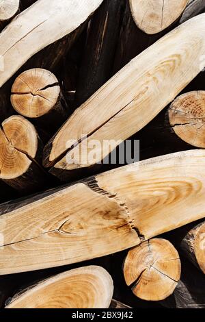 Sfondo con tronchi di albero tagliati e impilati - primo piano estremo Foto Stock