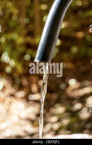 Estrema chiusura dell'acqua fresca che scorre da un rubinetto all'aperto in montagna (Alpi Italiane), Italia, Europa Foto Stock