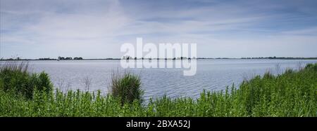 Foto widescreen del paesaggio tipico con laghi nella provincia olandese della Frisia in estate Foto Stock